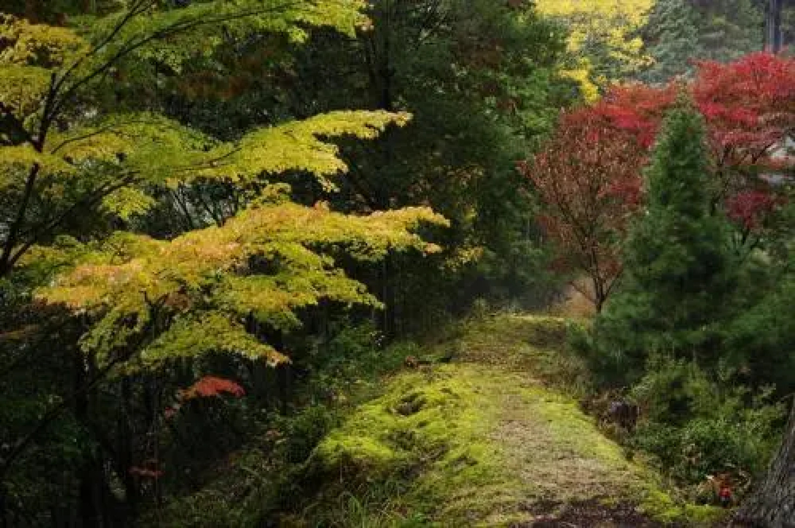 Yadori Onsen Iyashinoyu