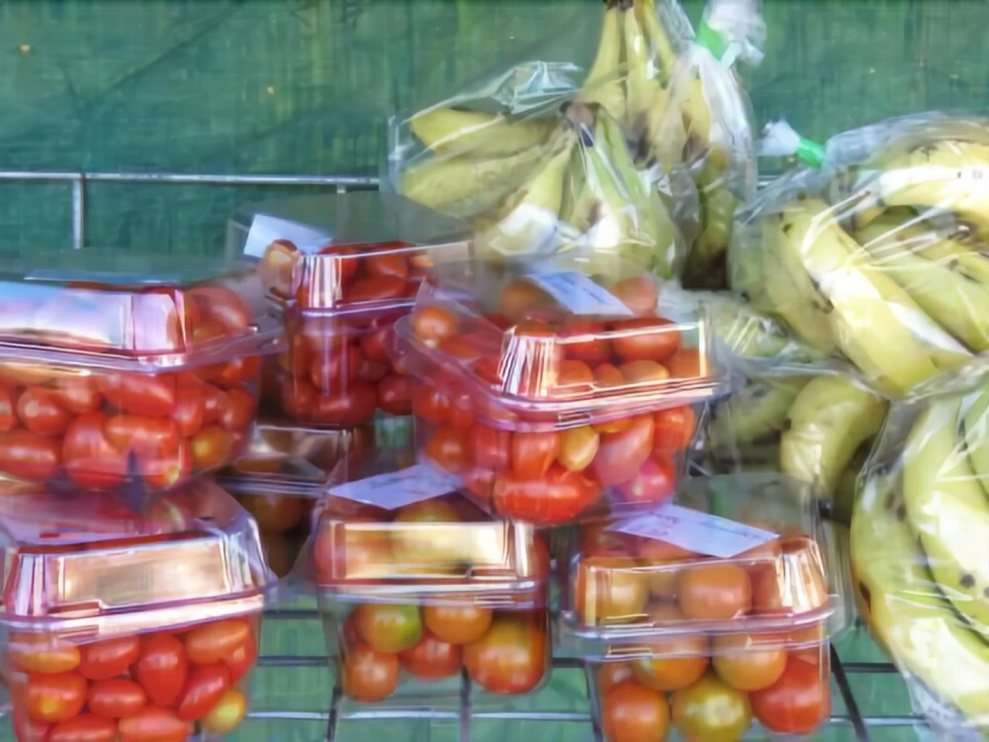 Big4 Plantation Caravan Park