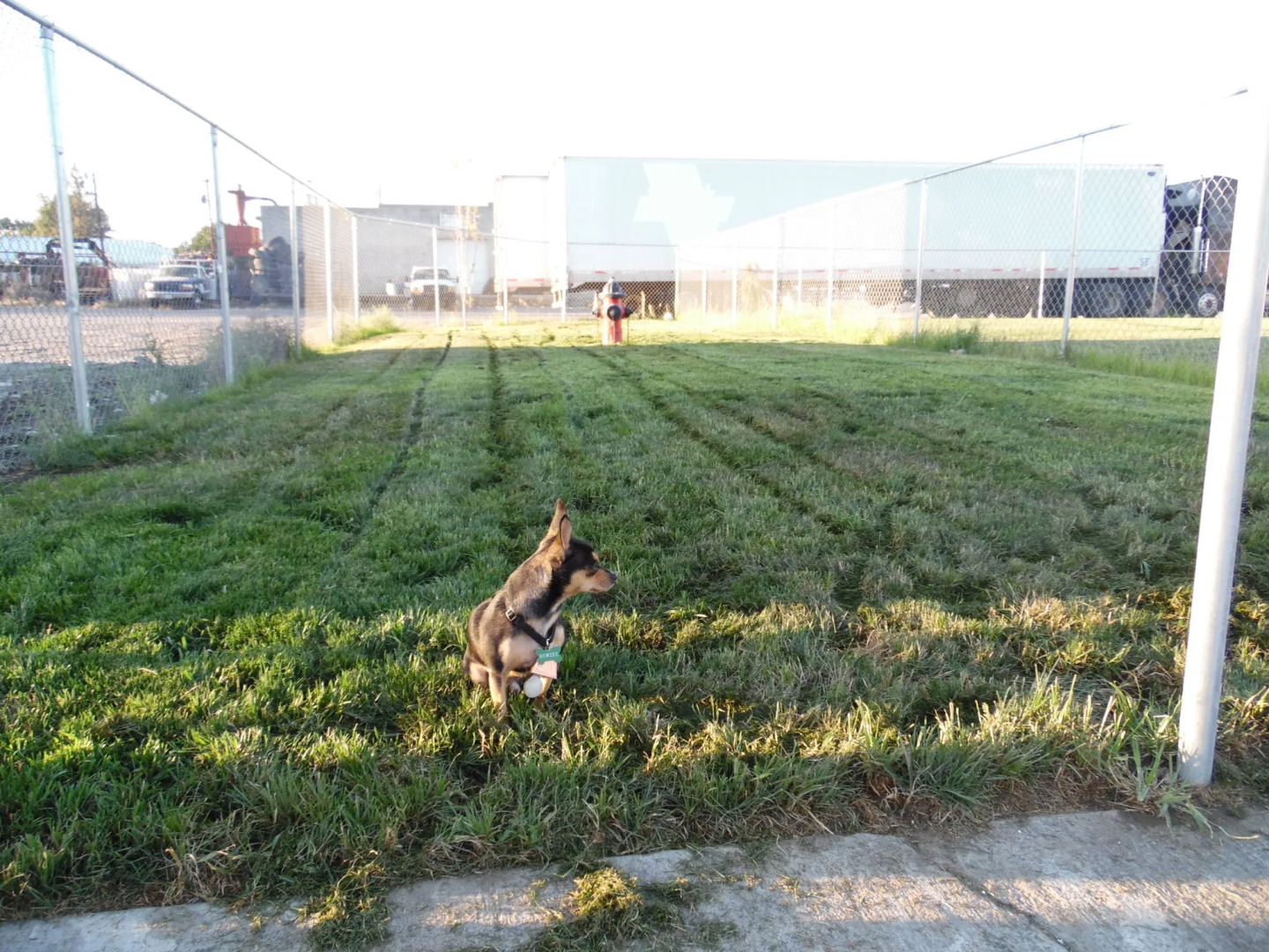 Rodeway Inn Hermiston - Umatilla