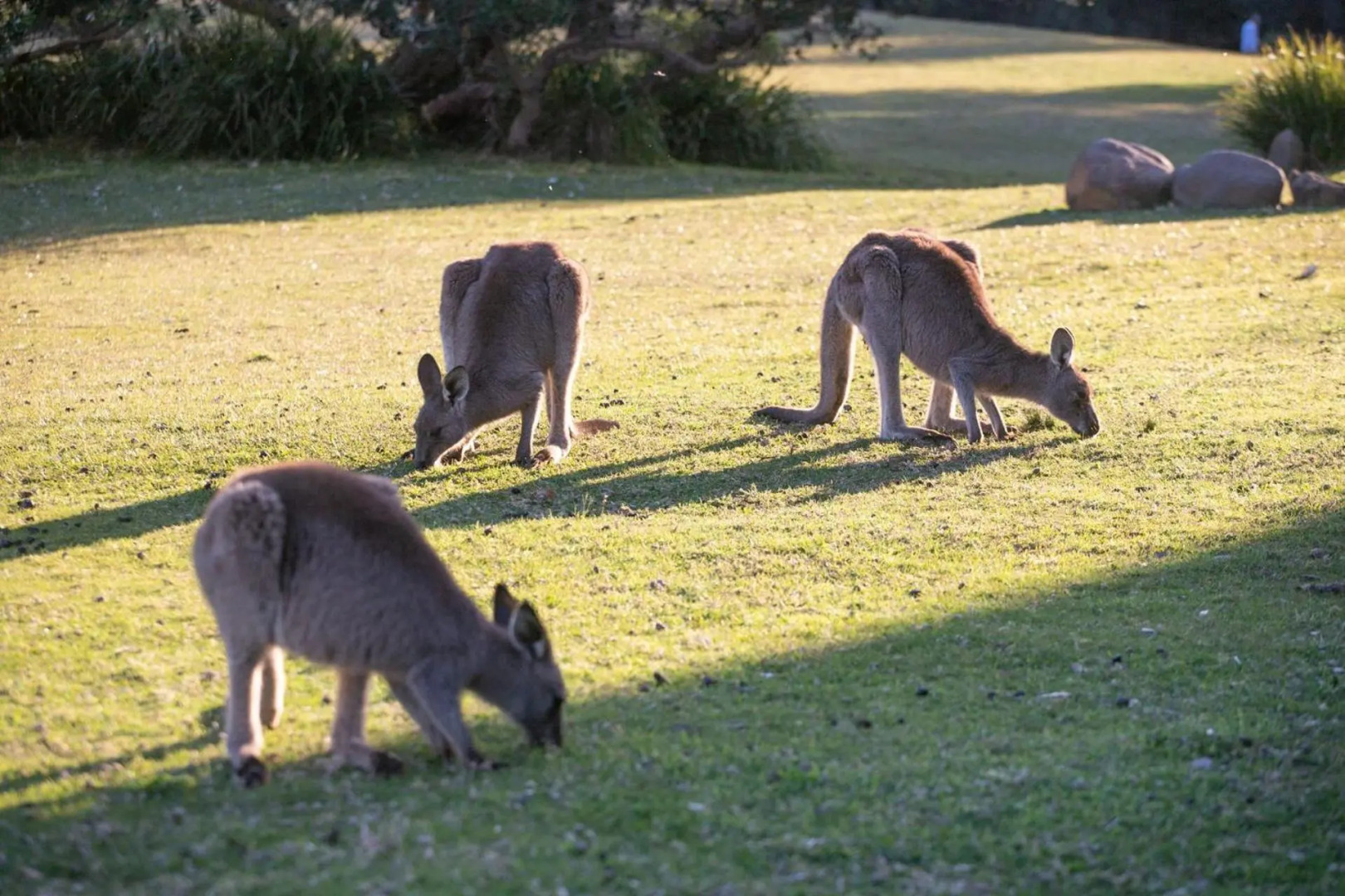 Wooroonga Crescent 9 Kioloa NSW 2539