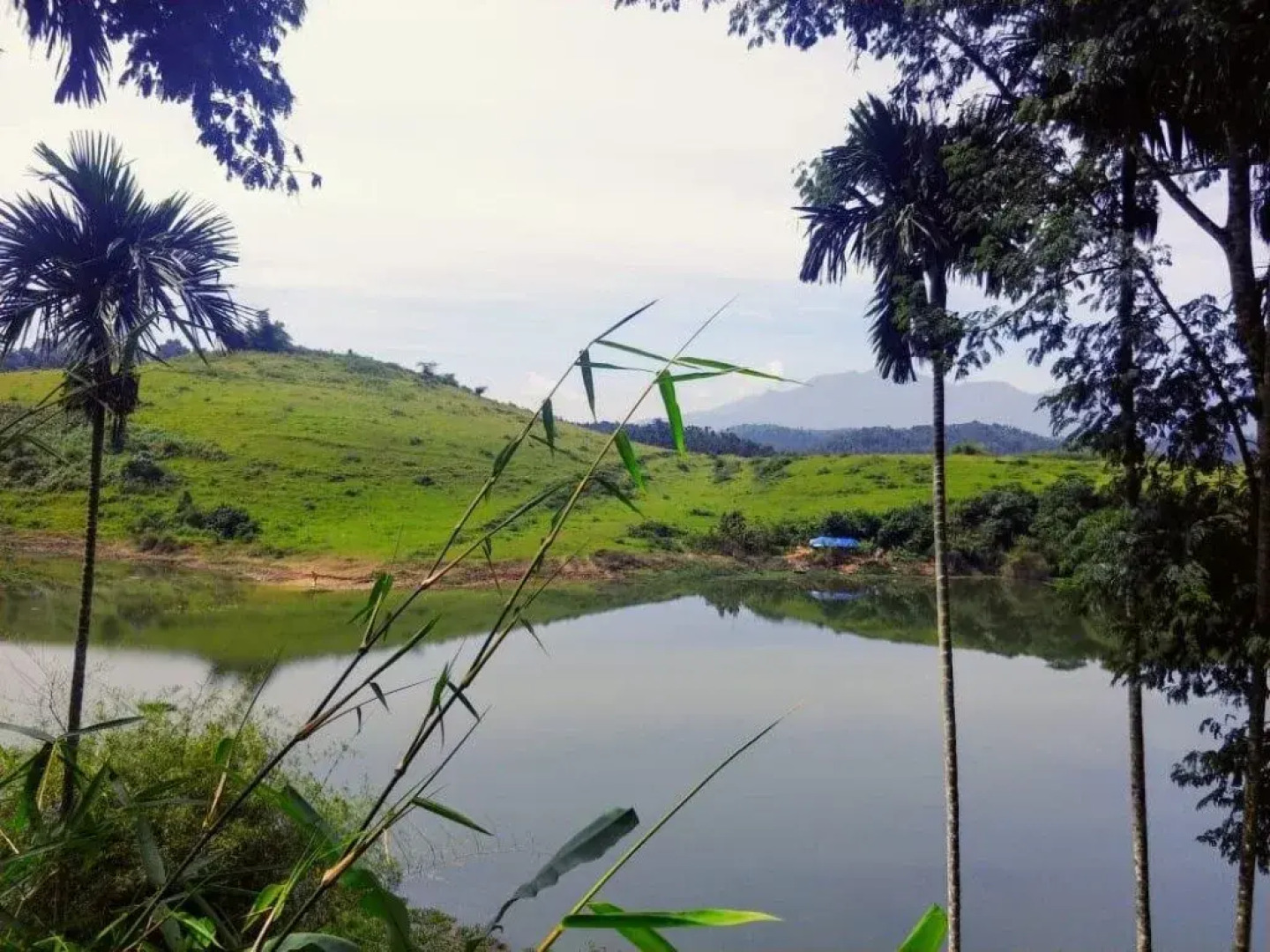 Misty Mornings Resort