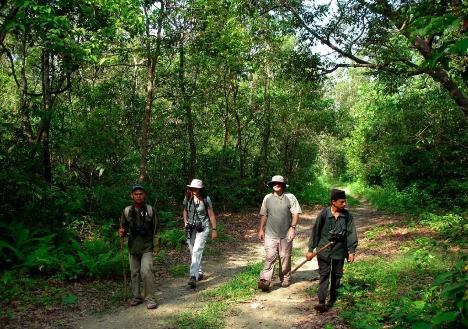 Royal Tiger Safari Resort