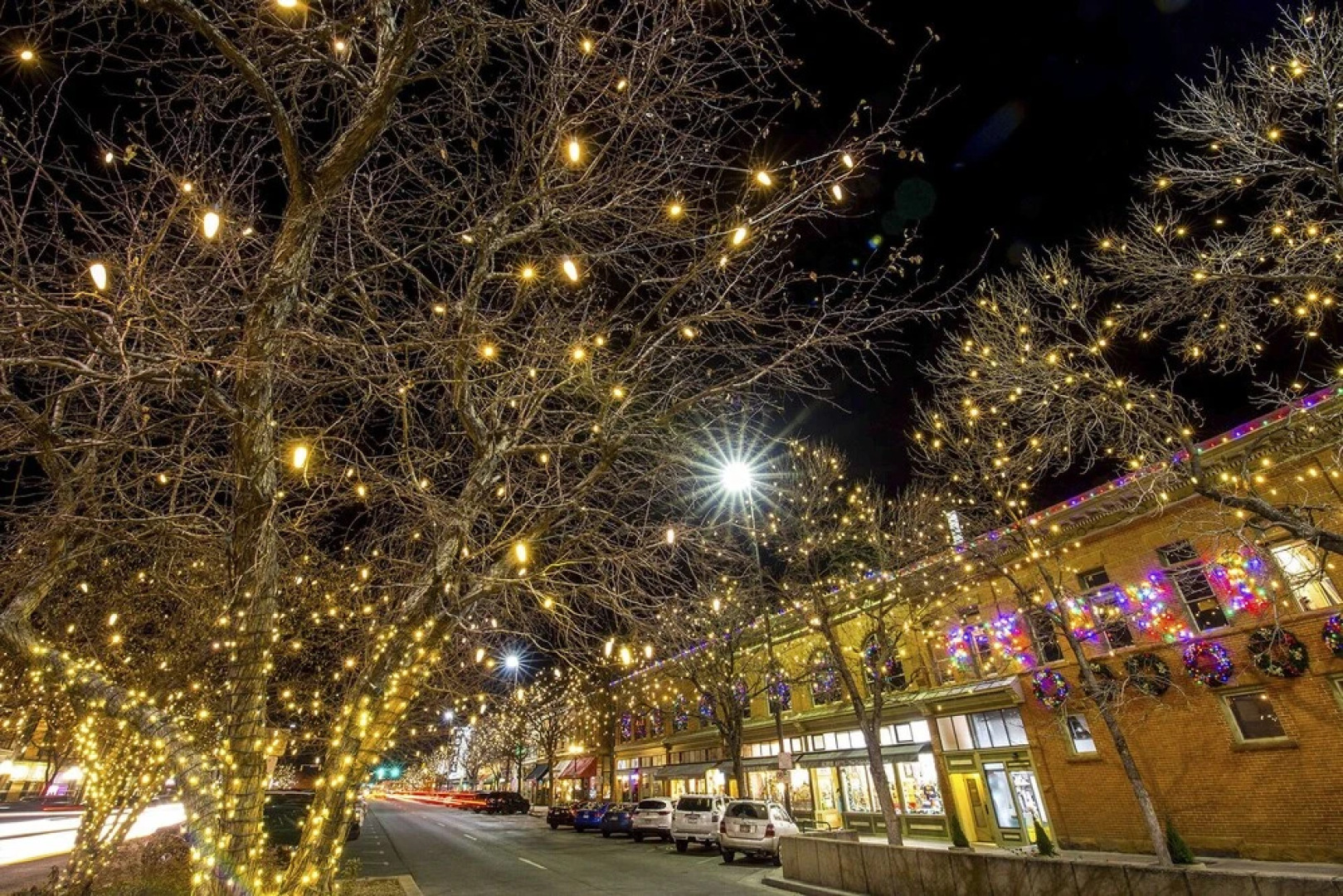 Llama-stay at Spooky Tooth Ranch – Mtn Views!!