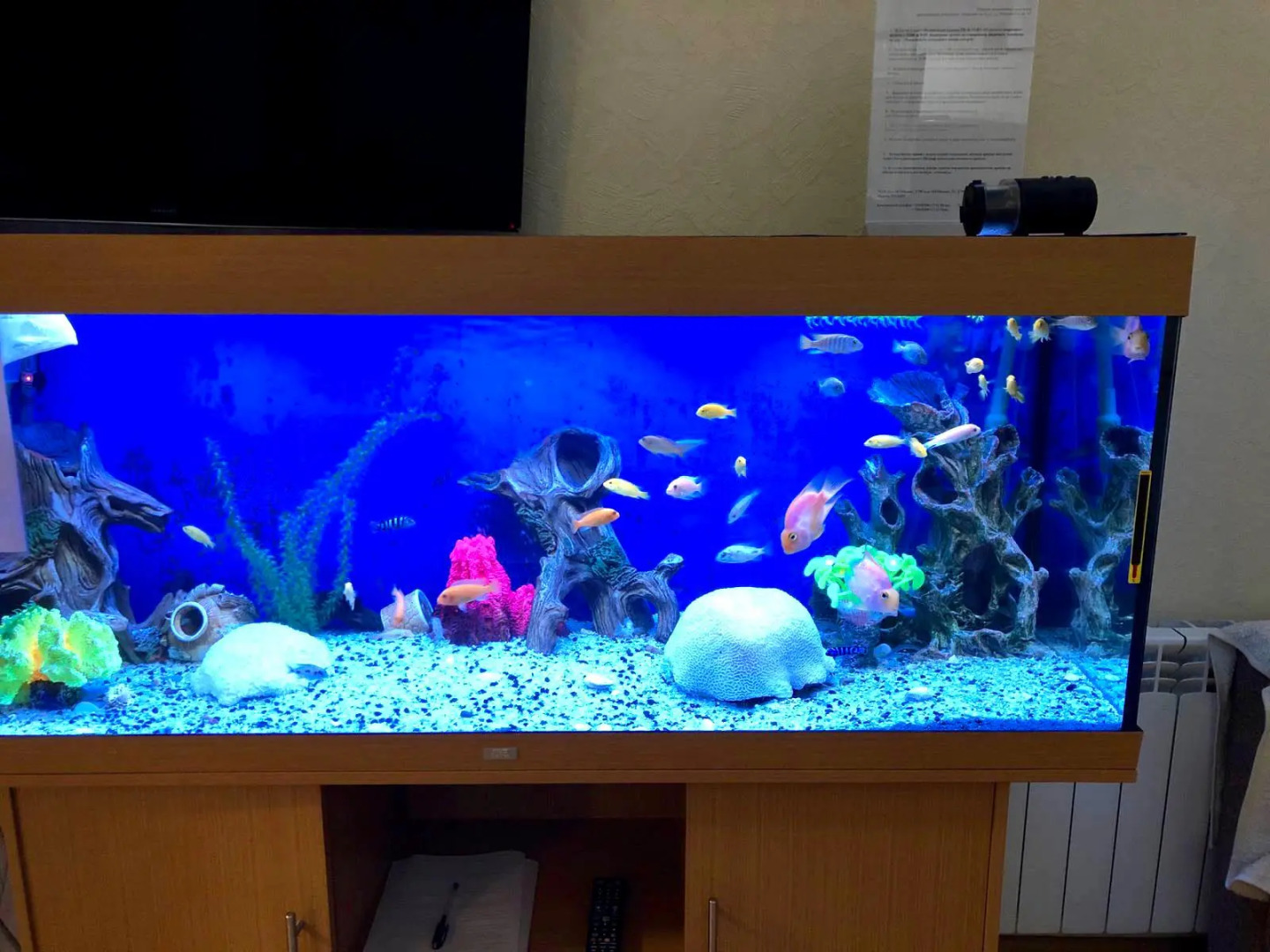 Апартаменты на улице Михеева 11А