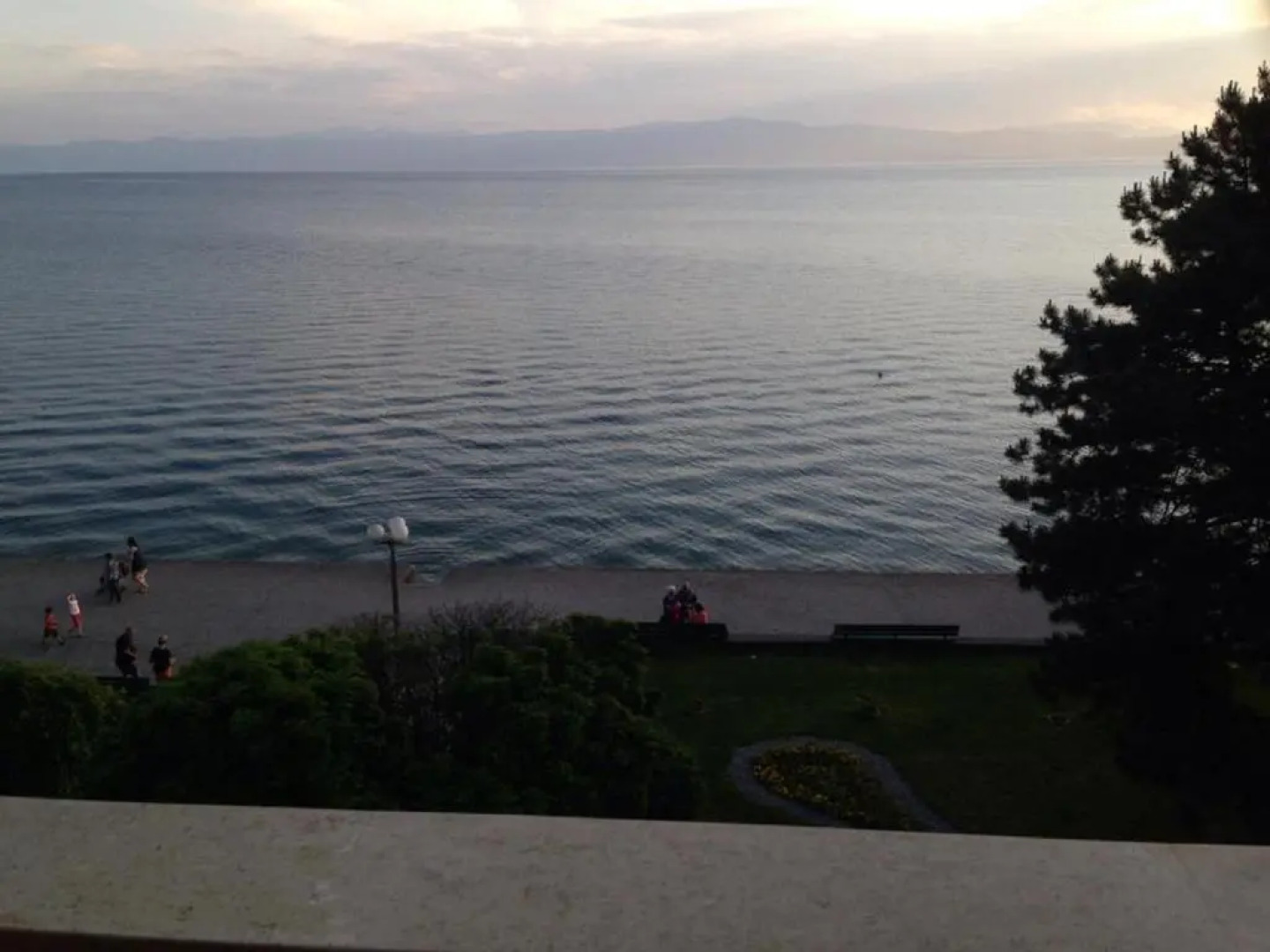 Villa Darko - VIP Accomodations