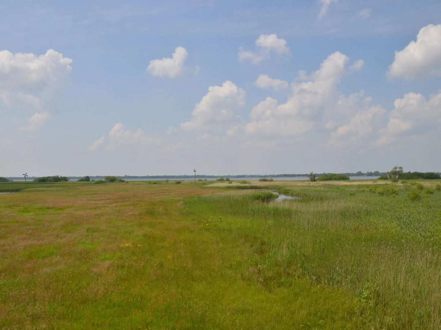 Modern Holiday Home in Kollumerland c.a with Private Garden