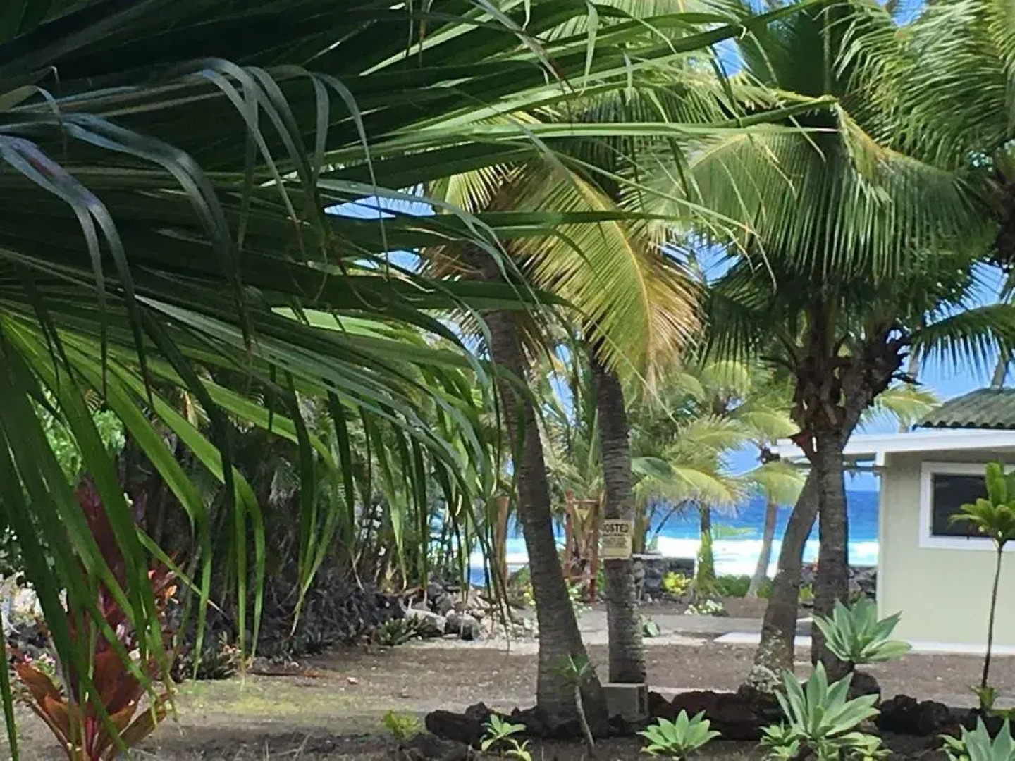 Kapoho Paradise Found