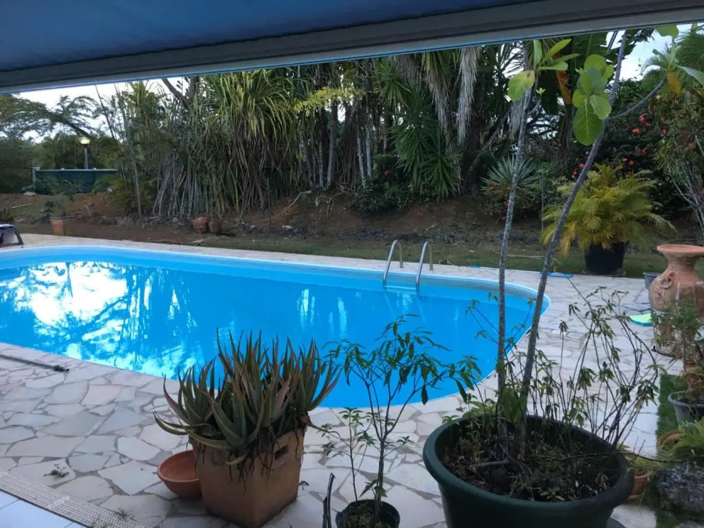 Charmant Studio Decor Naturel