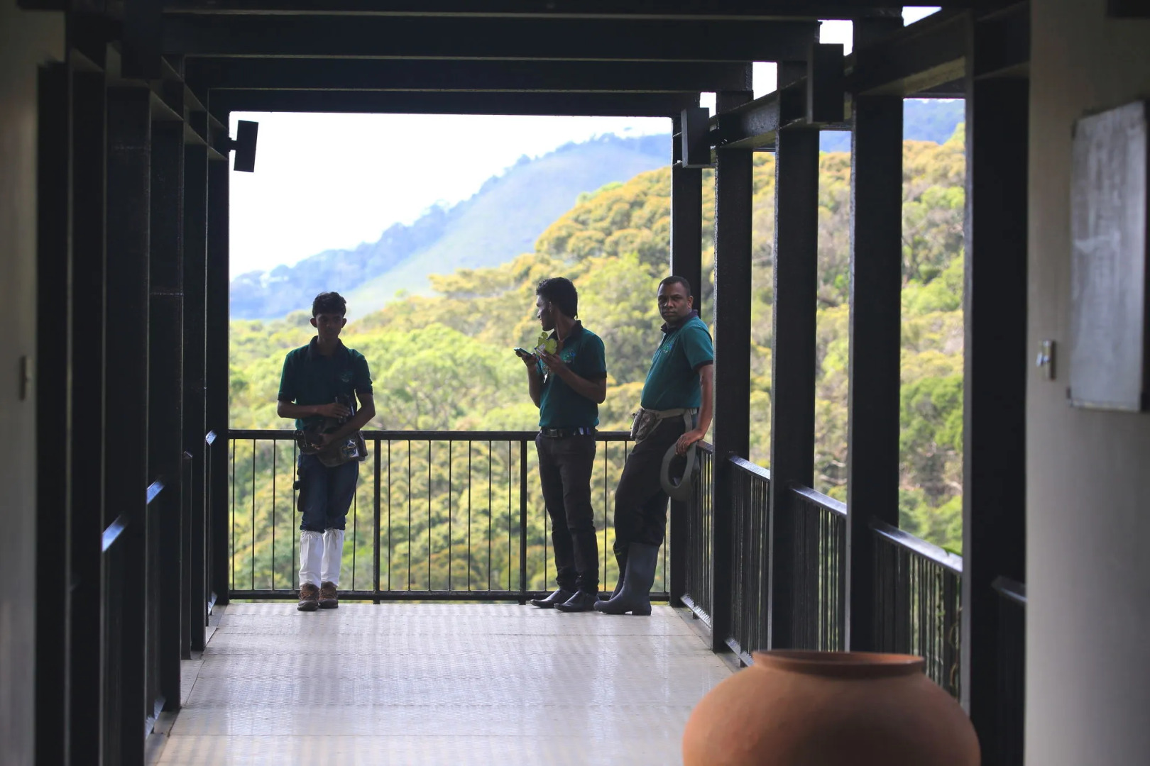 The Rainforest Ecolodge