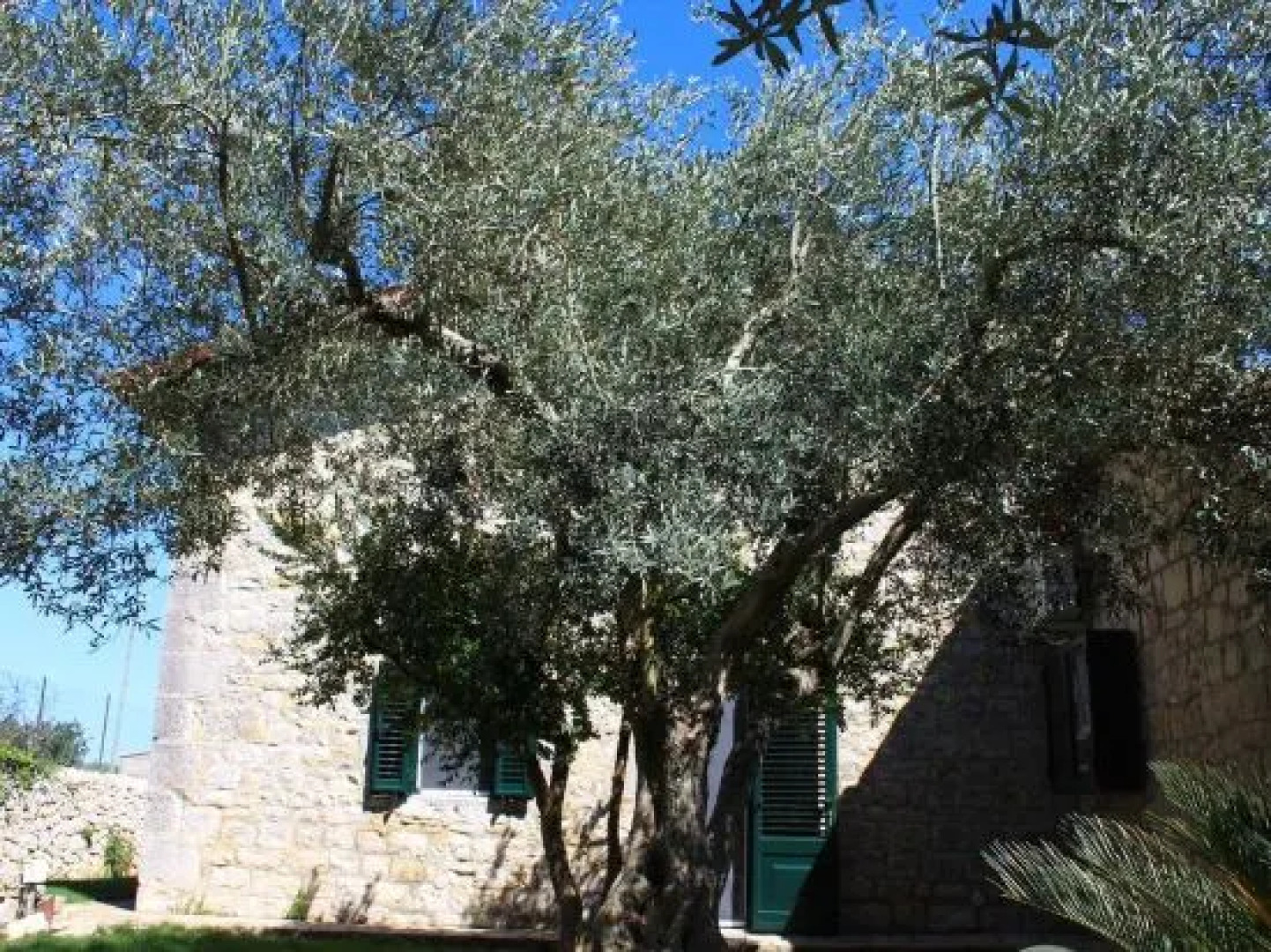 Casa Vacanze Le Tre Palme