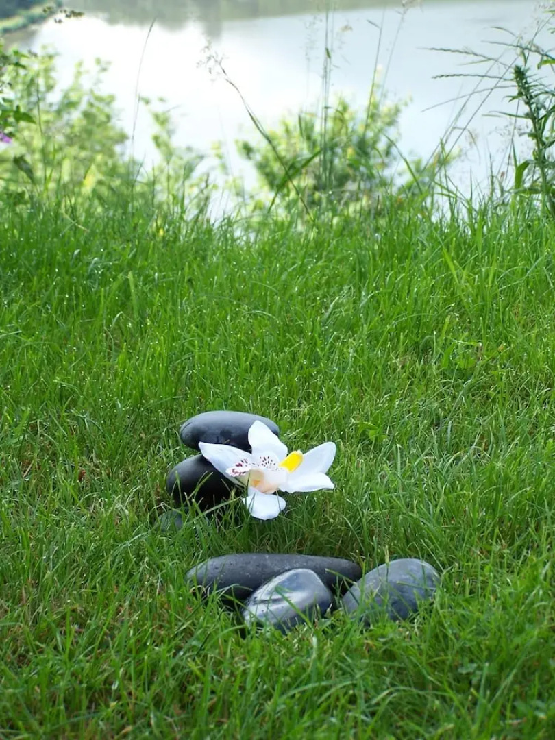 Yourtes - La Ferme de la Source