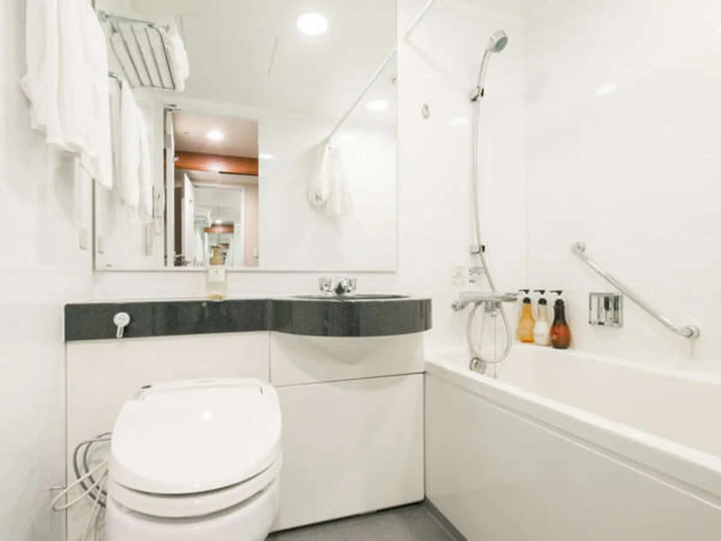 Fukuyama New Castle Hotel