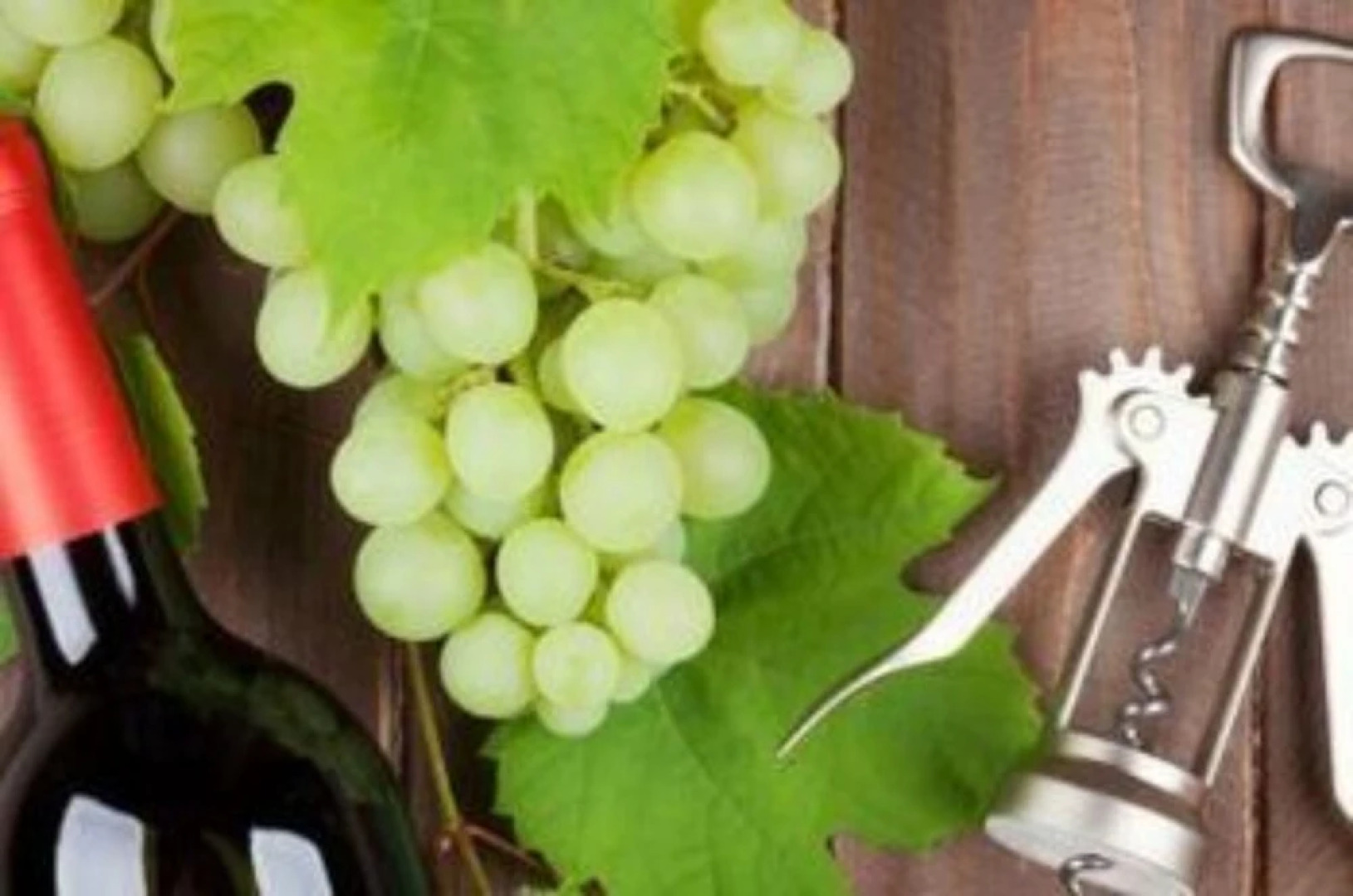 Whispering Pines Bed and Breakfast