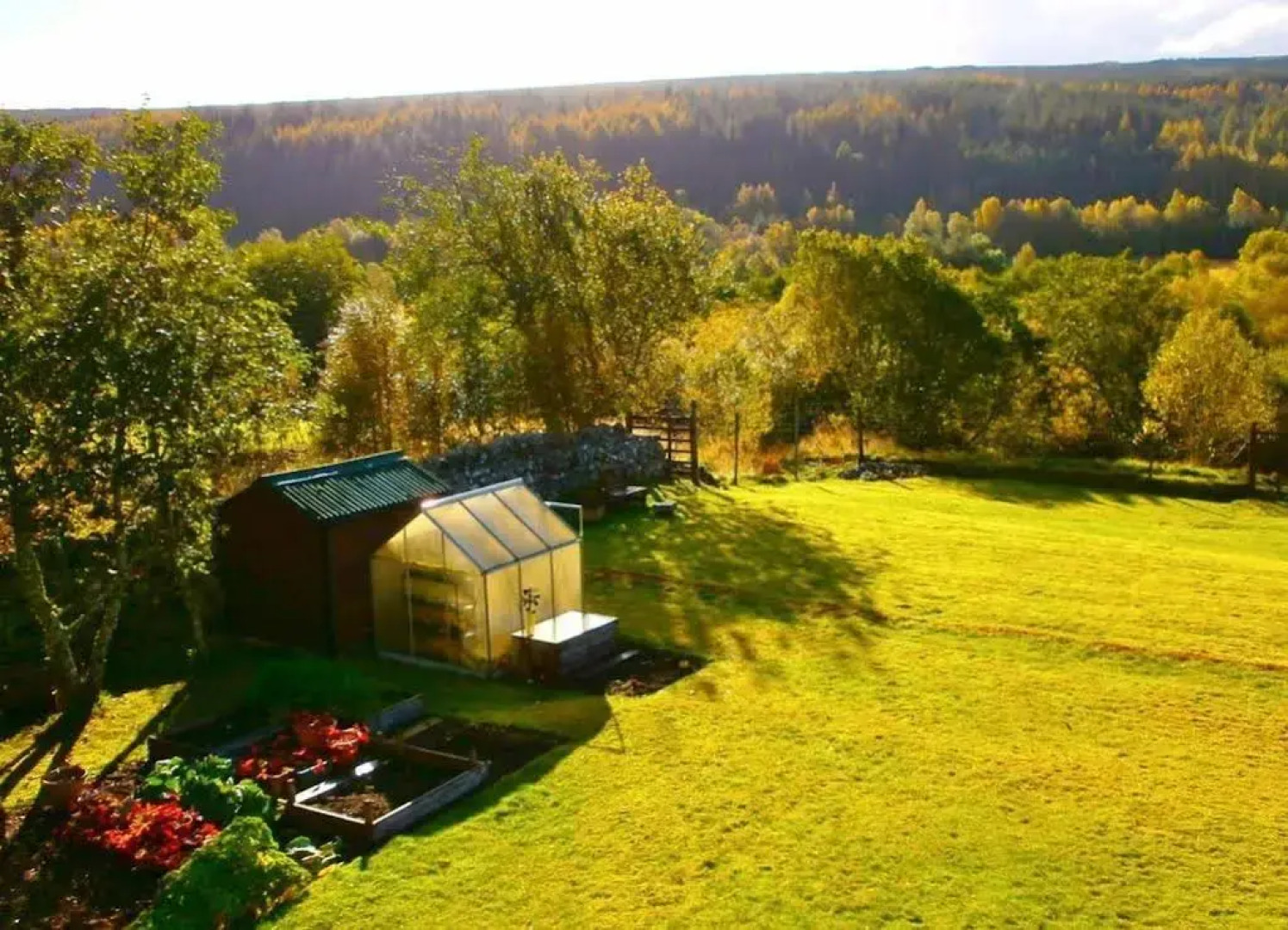 Serendipity Bed And Breakfast