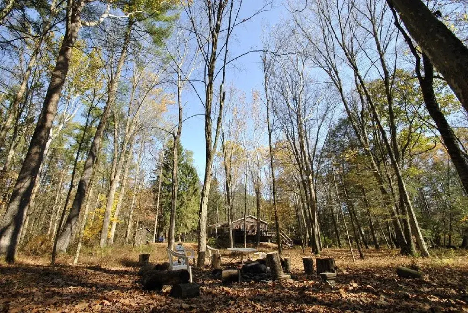 Paradise on Hurricane Creek