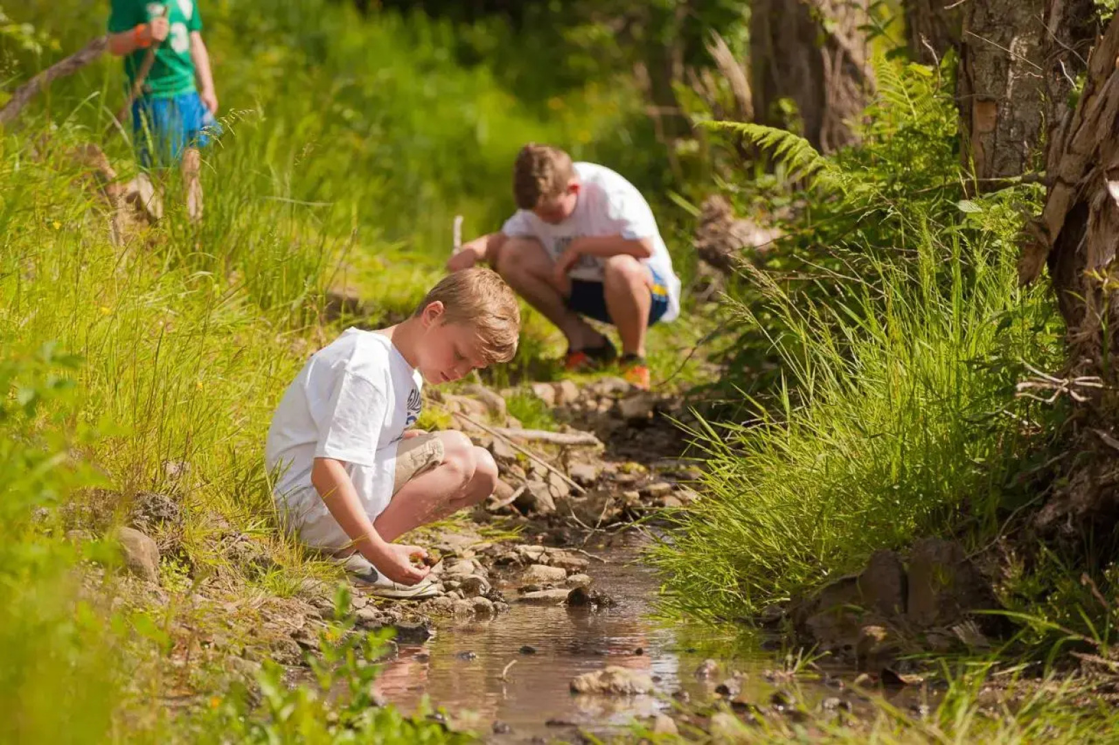 Radisson Blu Hotel & Spa, Limerick