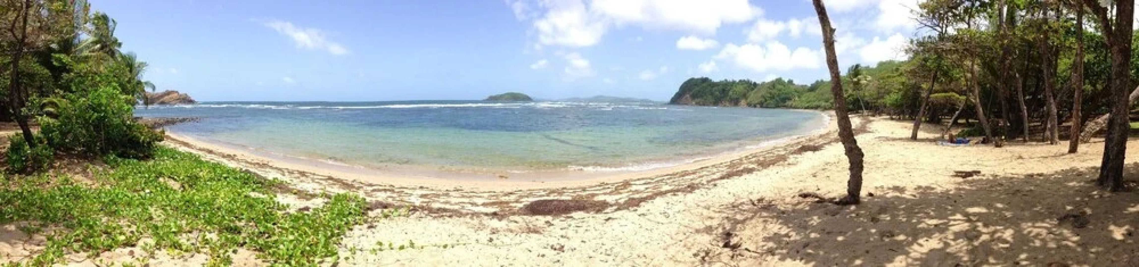 Villa With 2 Bedrooms In La Trinite With Wonderful Sea View Private Pool Furnished Garden