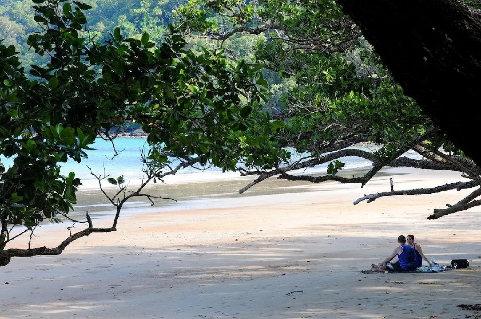 Cow Bay Homestay B&B