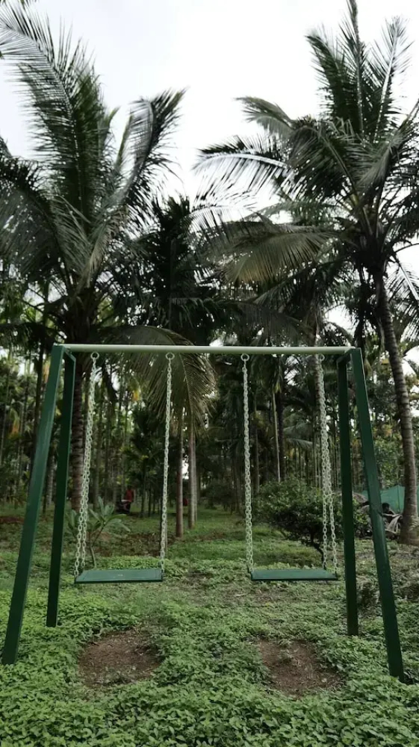 TheLemoura