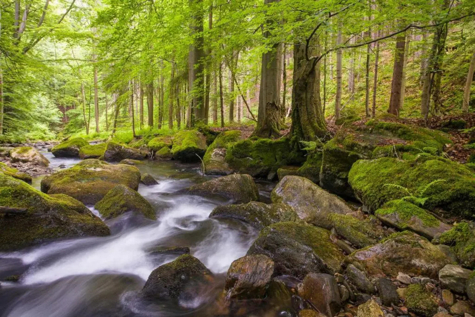 Landhotel Zum Hammer