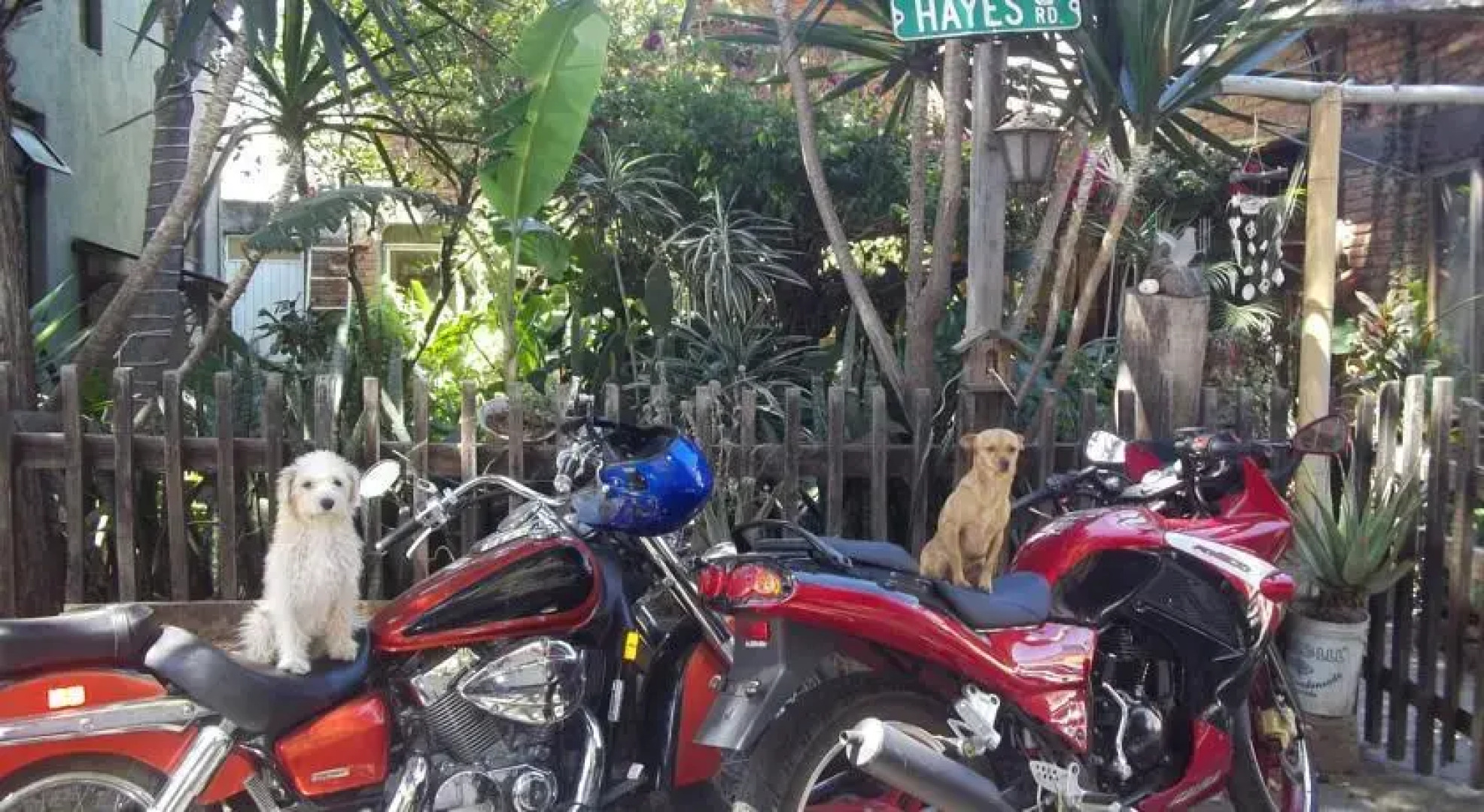 The House Near Downtown