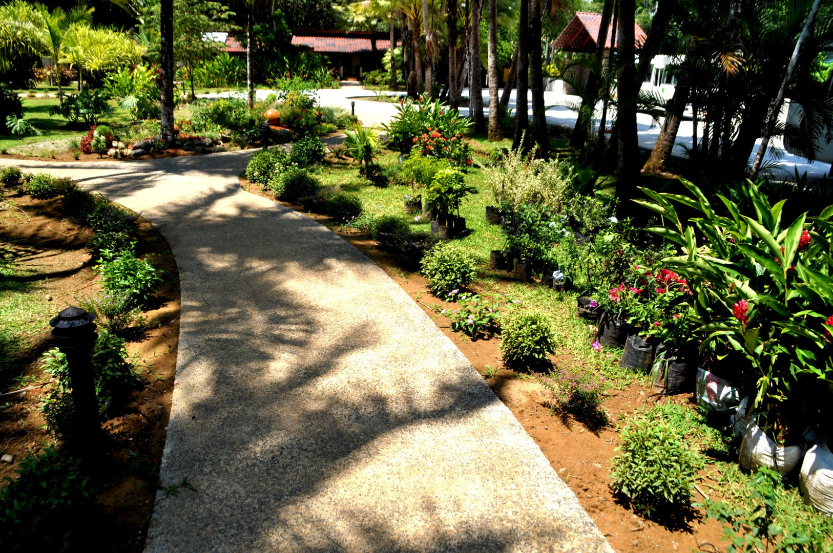 La Foresta Nature Resort