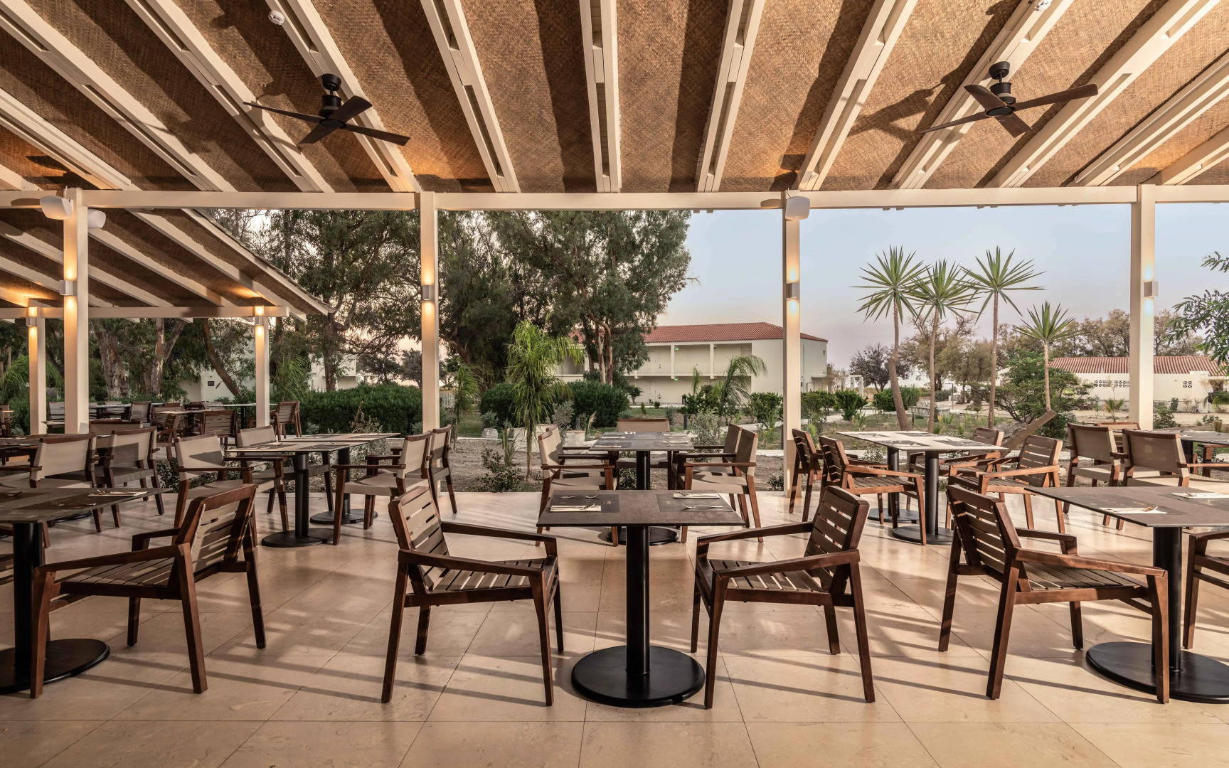 Domes Aulus Zante, Autograph Collection