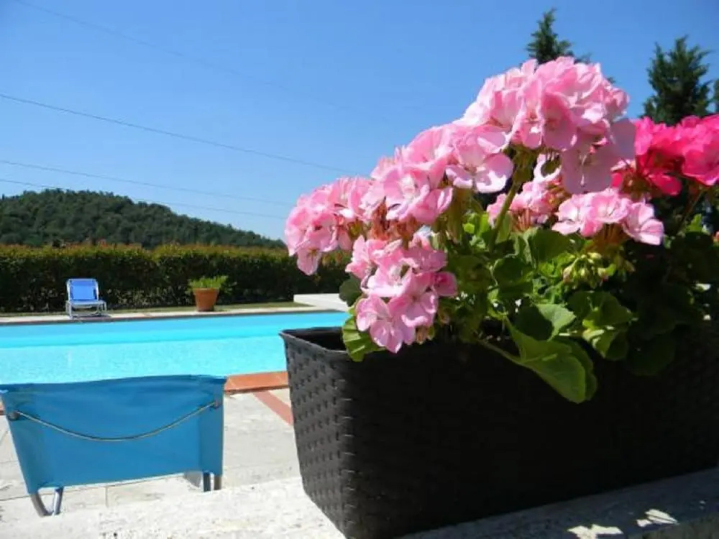 Agriturismo Podere La Selva