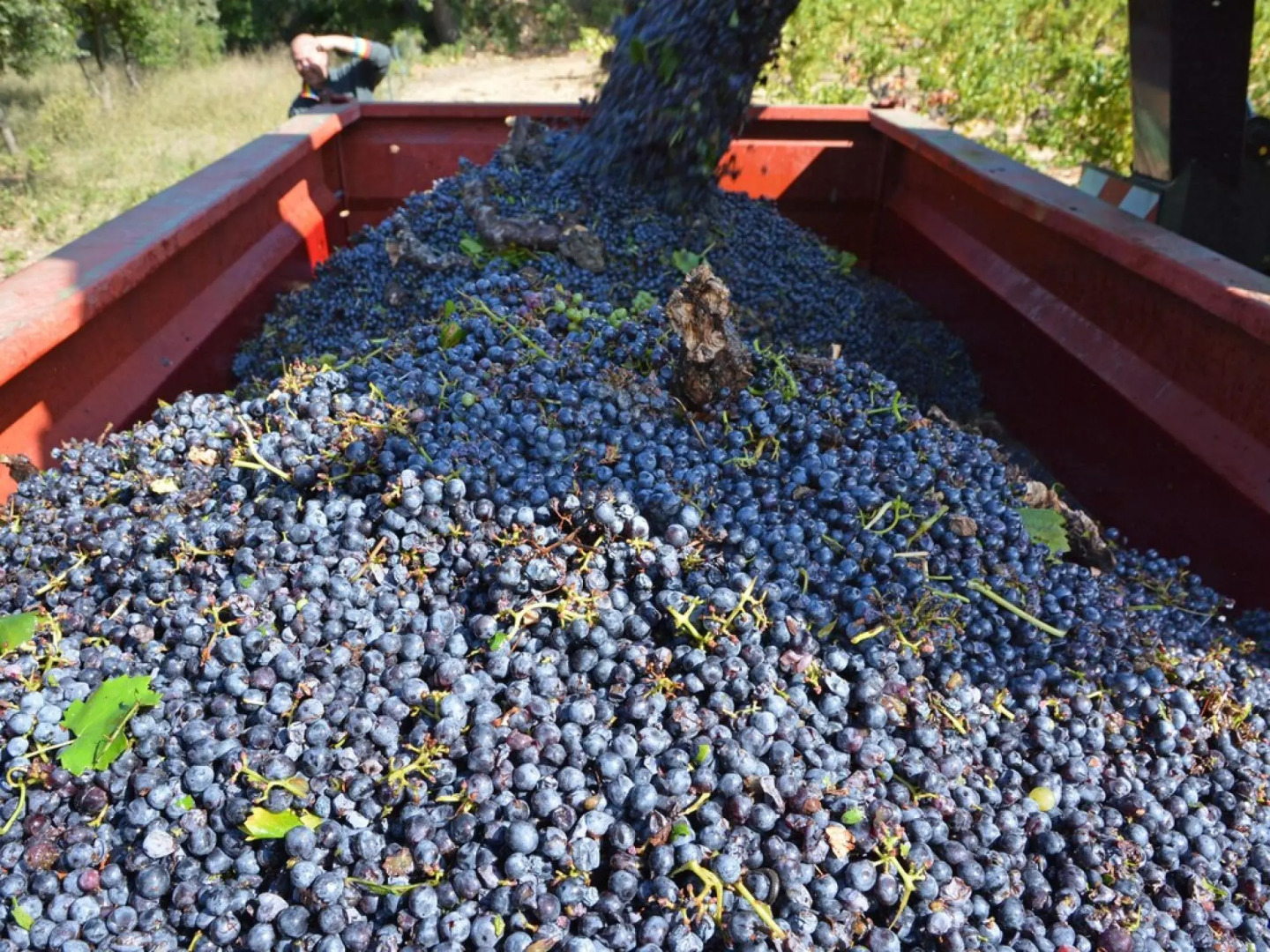 Air-conditioned villa with private pool,near by Verdon gorge