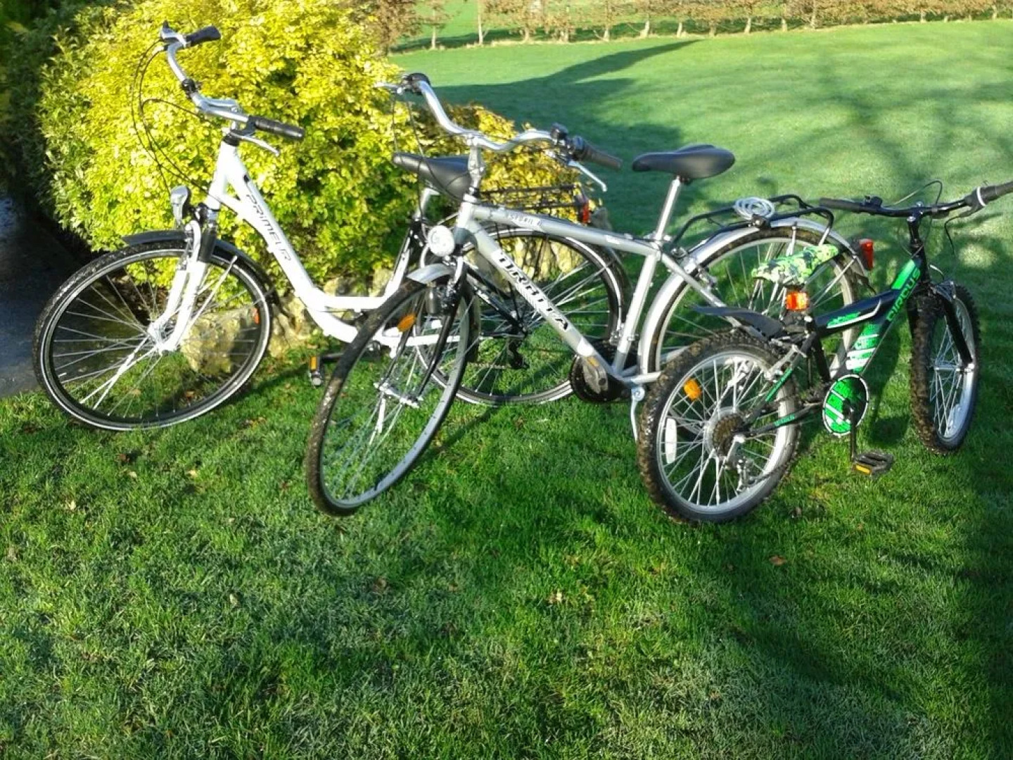 Ailleurs Sous Les Étoiles