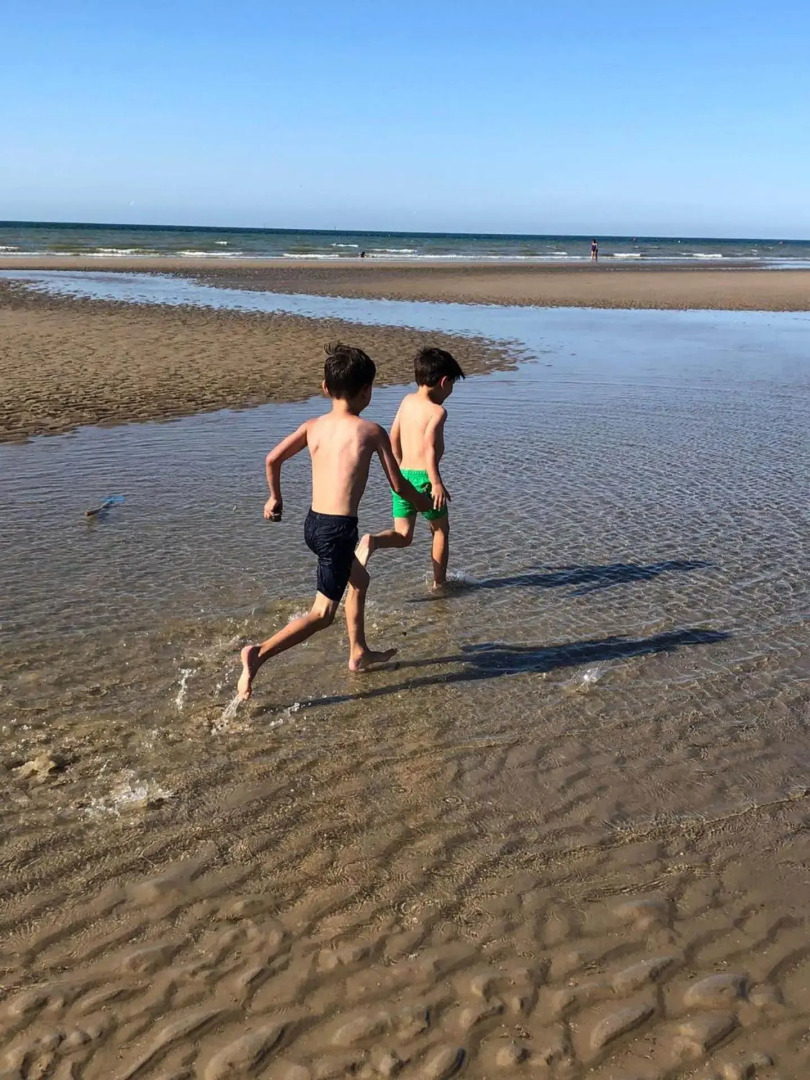 De Tureluur Bruinisse