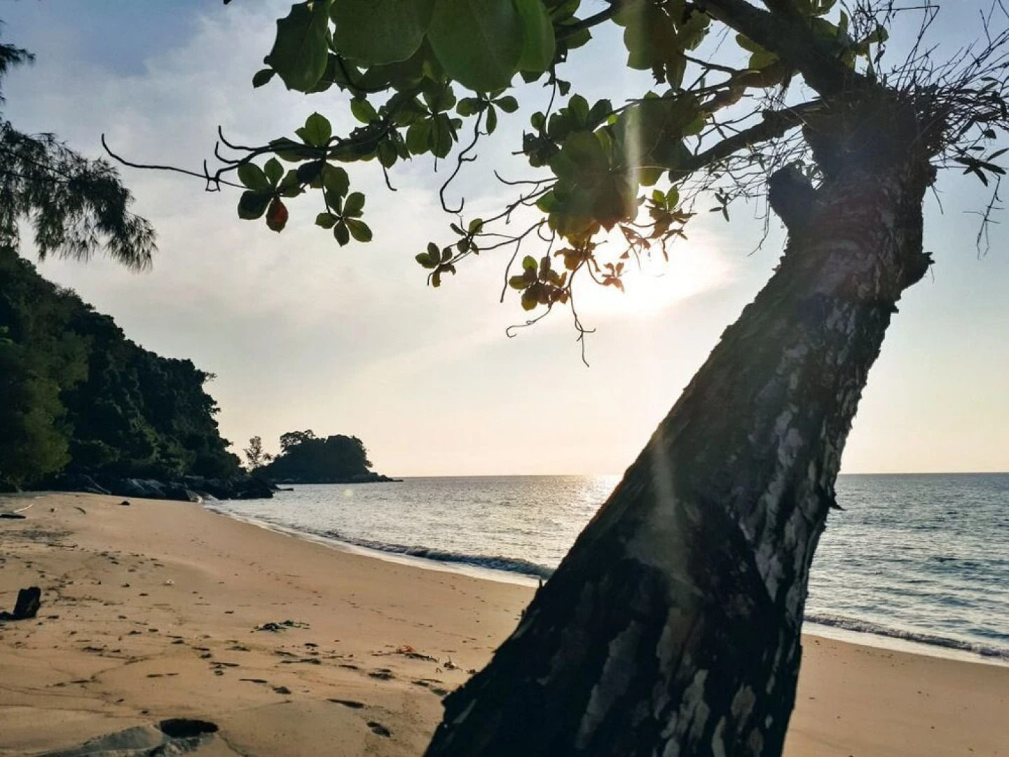 Selesa Tioman c/o Tioman Horizon Condotel