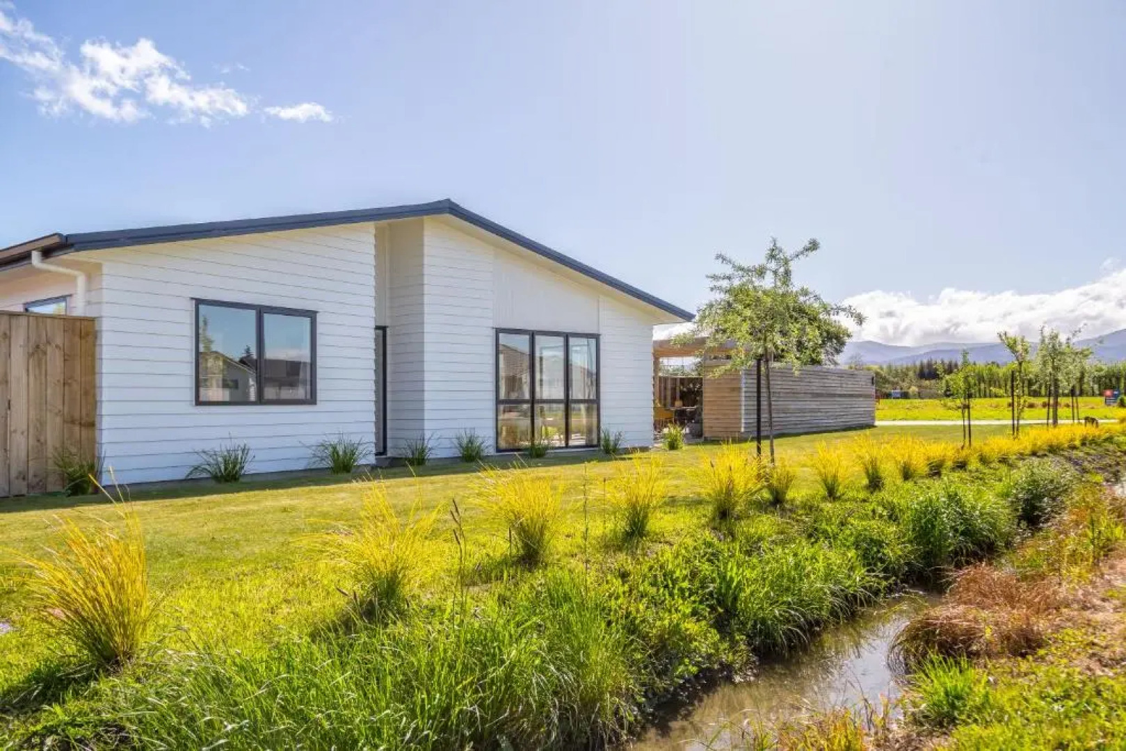 Citron 9 (Adults Only)