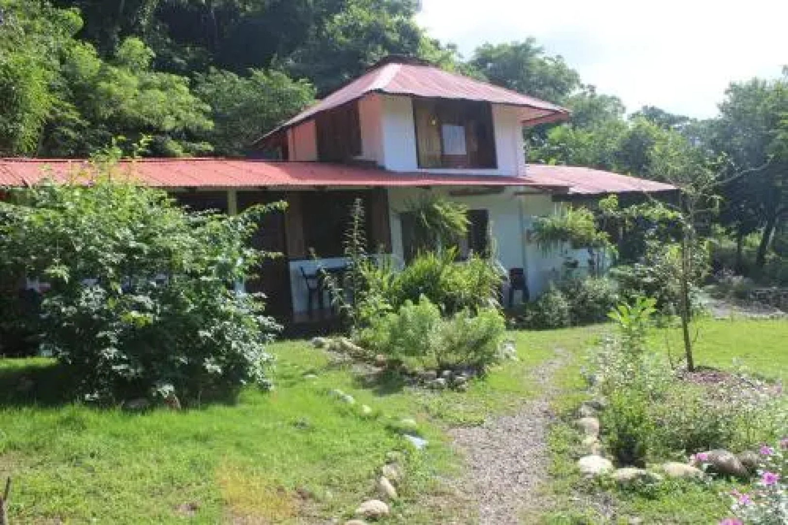 Jaguar Azul Palomino