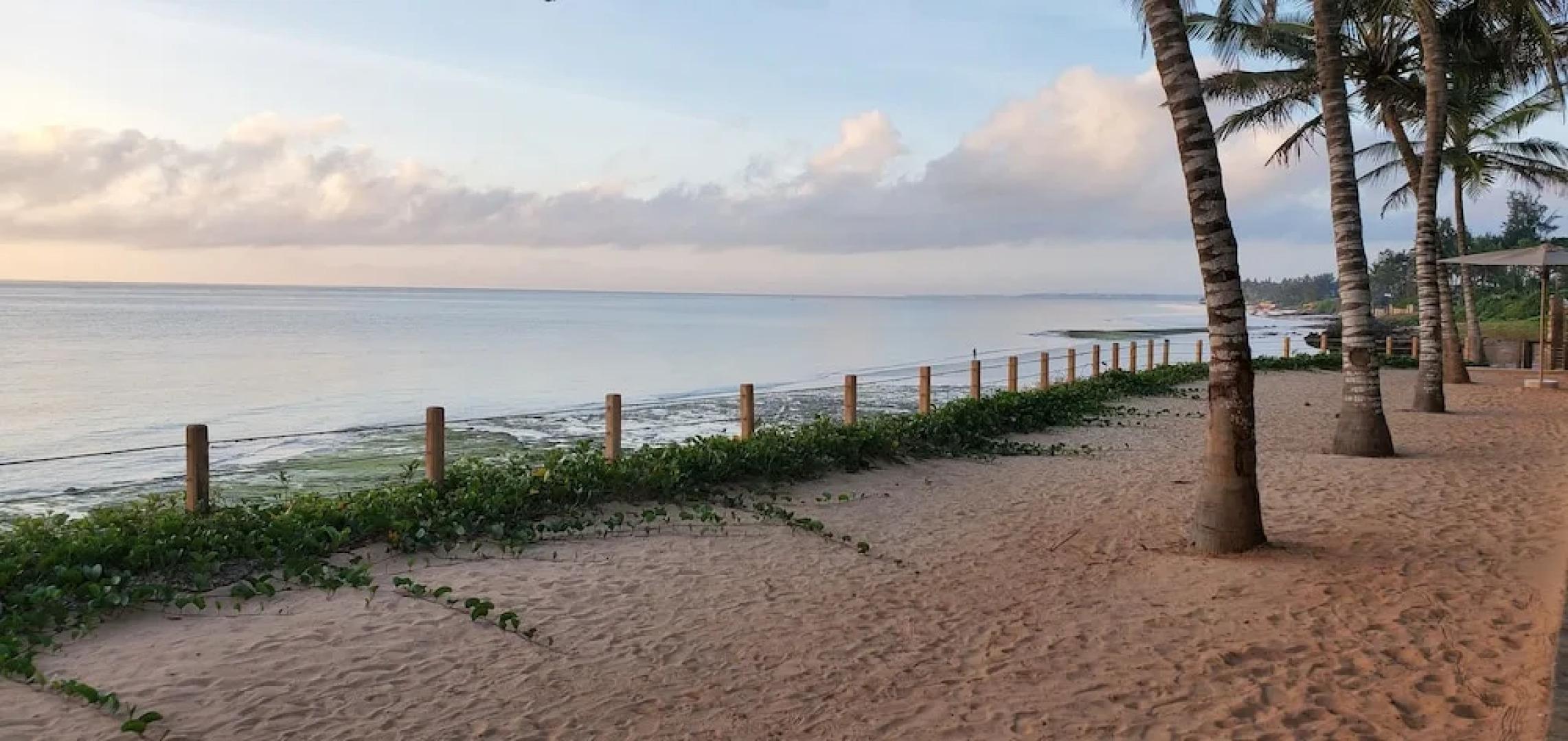 Silver Palm Spa and Resort