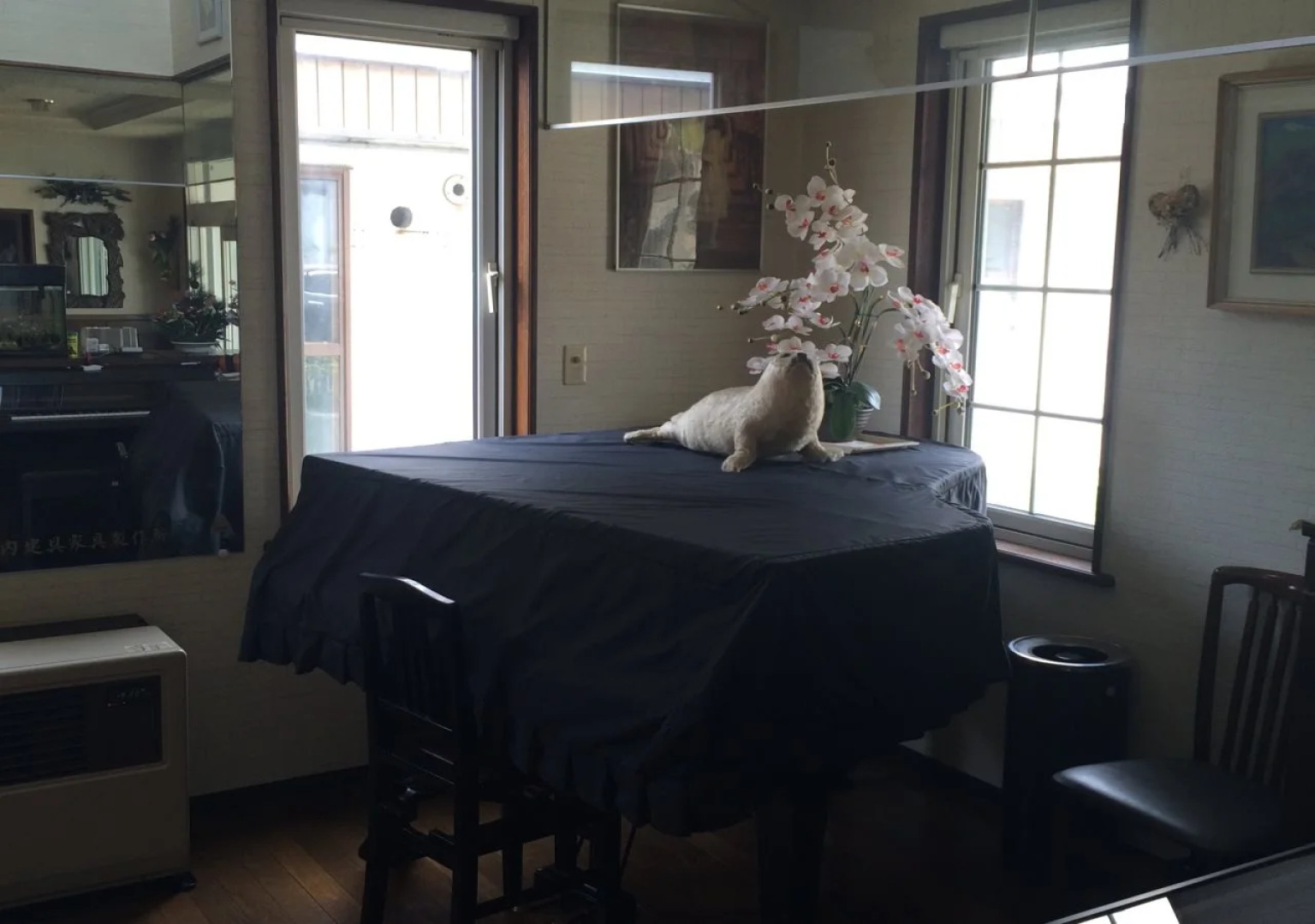 Small Inn Shiretoko Pereke