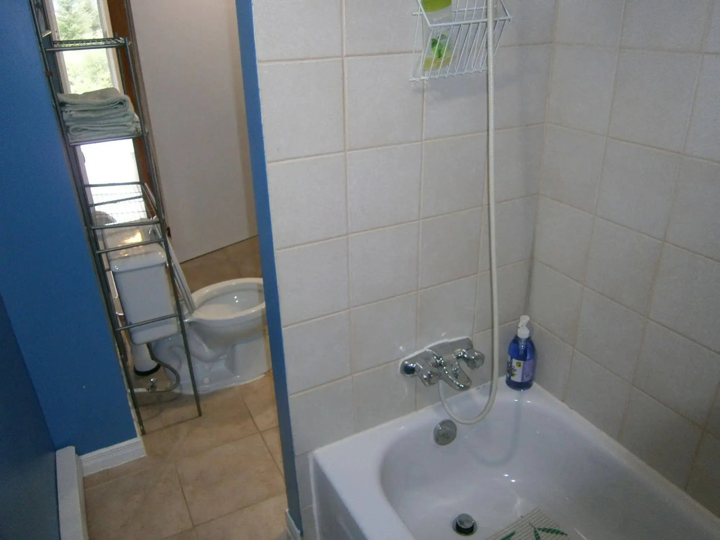 Panoramique du Fjord