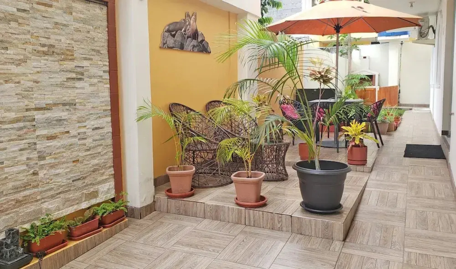 Ocean Dreams Galapagos