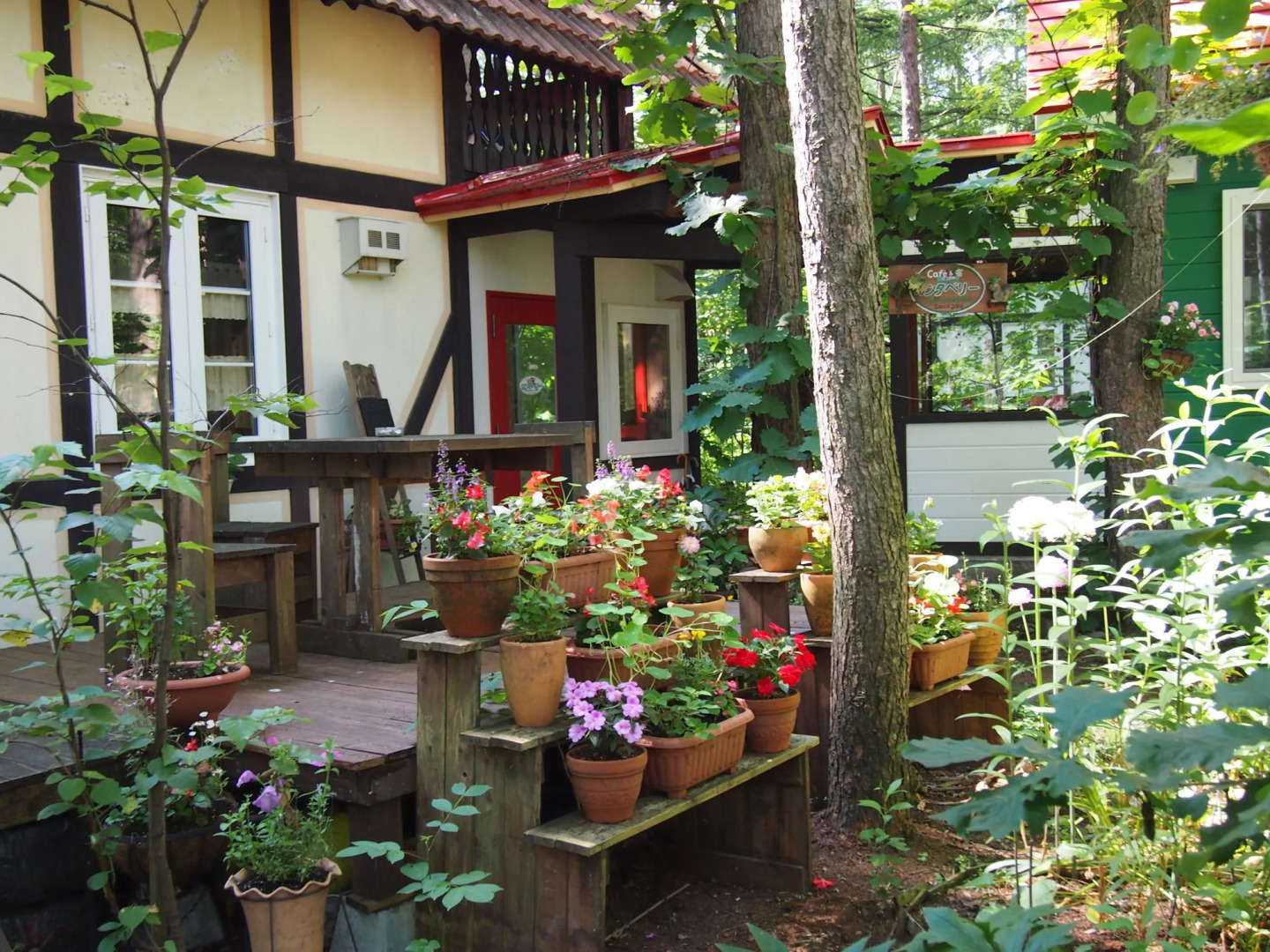 The squirrel's guesthouse Canterbury