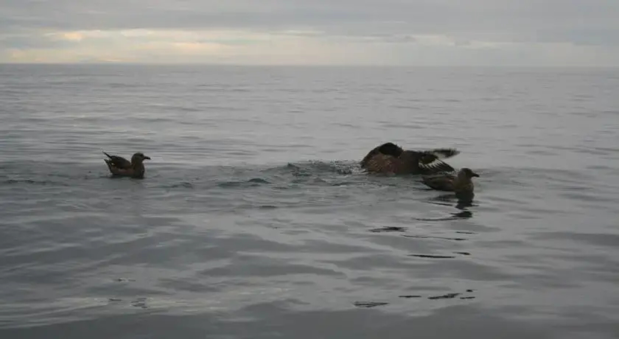 Holm View Guest House