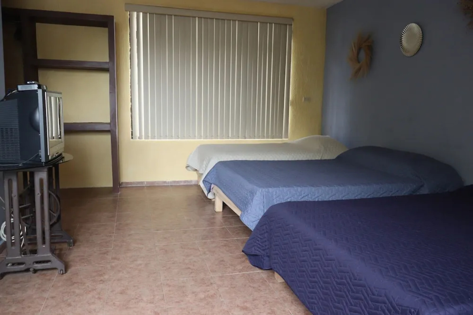 House of Ficus Banderilla,veracruz-mexico