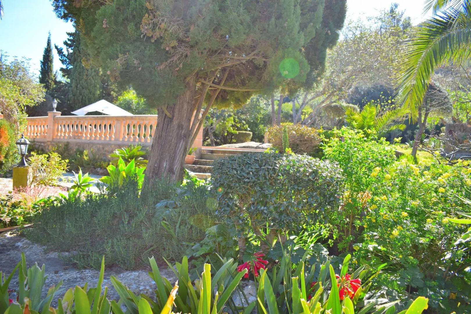 Finca Mercedes 057 by Mallorca Charme