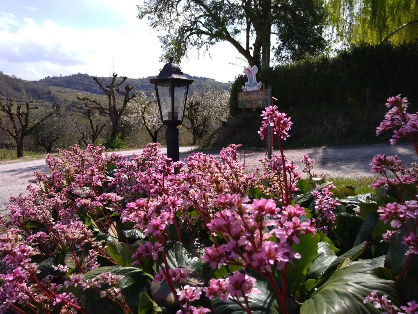 Le Spighe Agriturismo