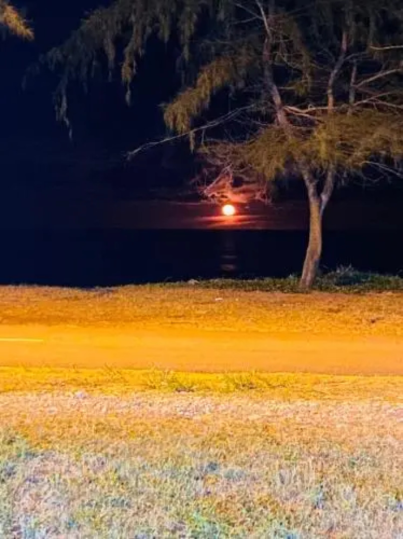 Paka Tamim Seaview Hotel