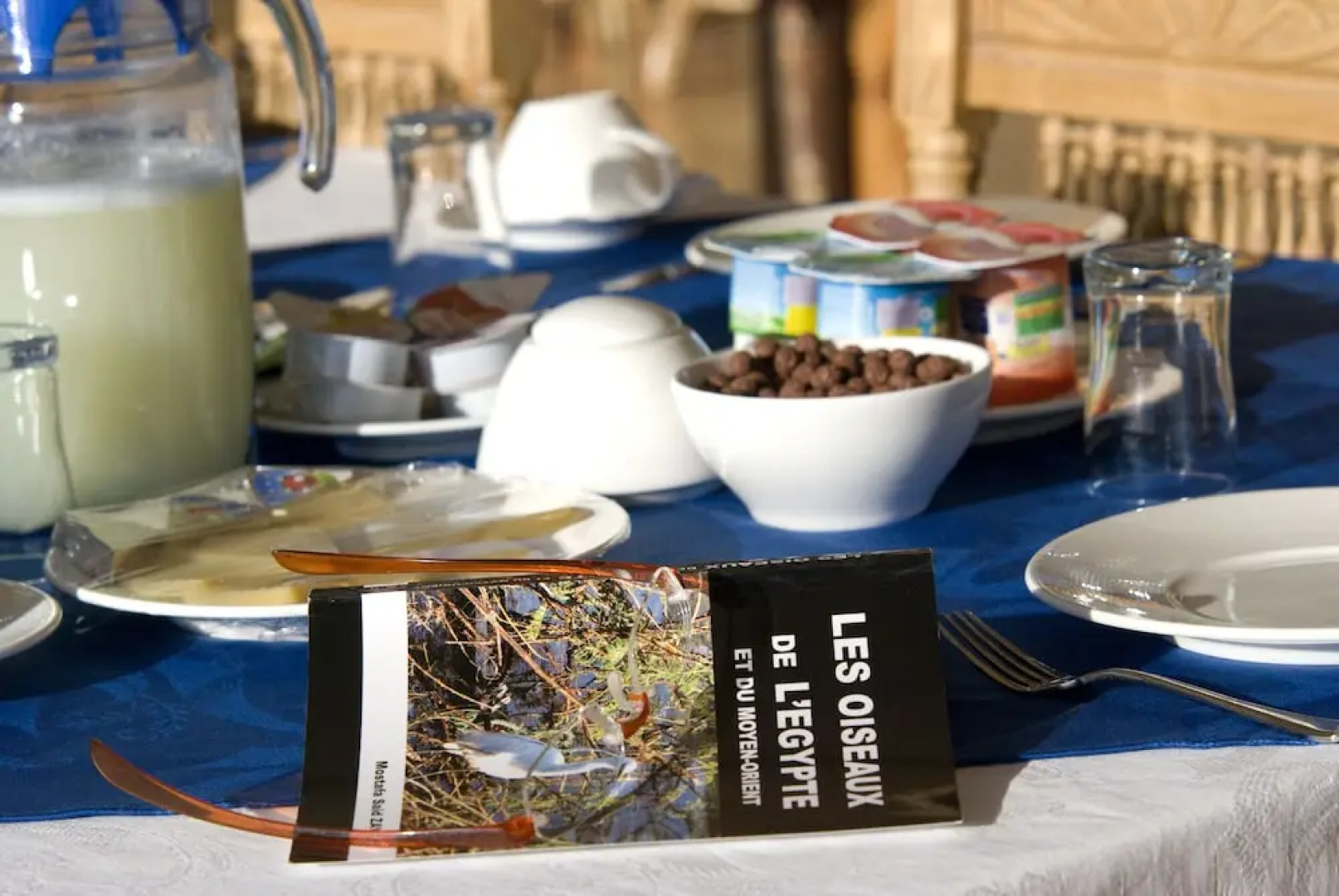 Dahabeya Queen Farida