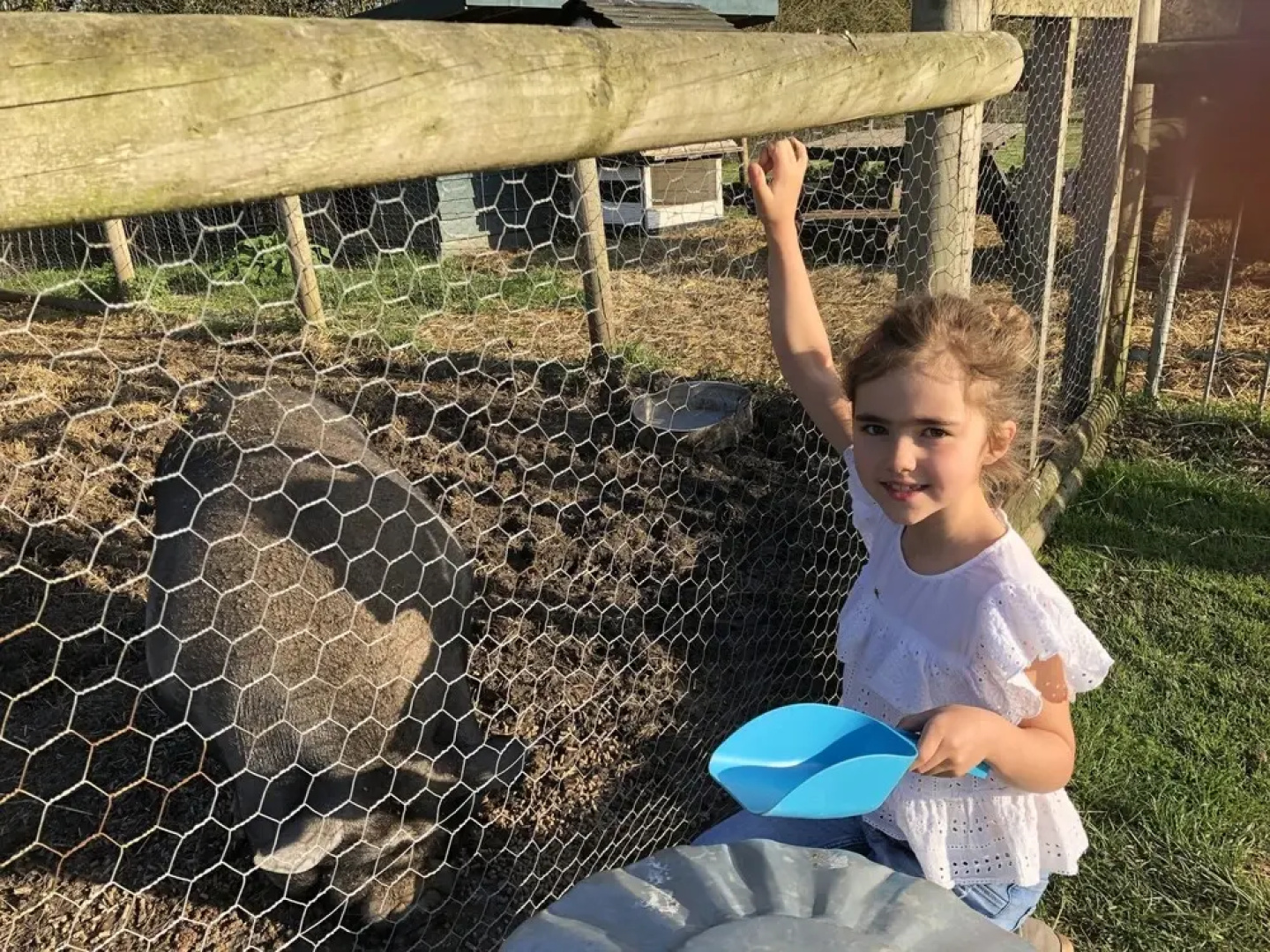 Willow Court Farm