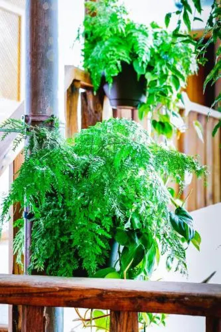 Suites & Apartments Calle Real