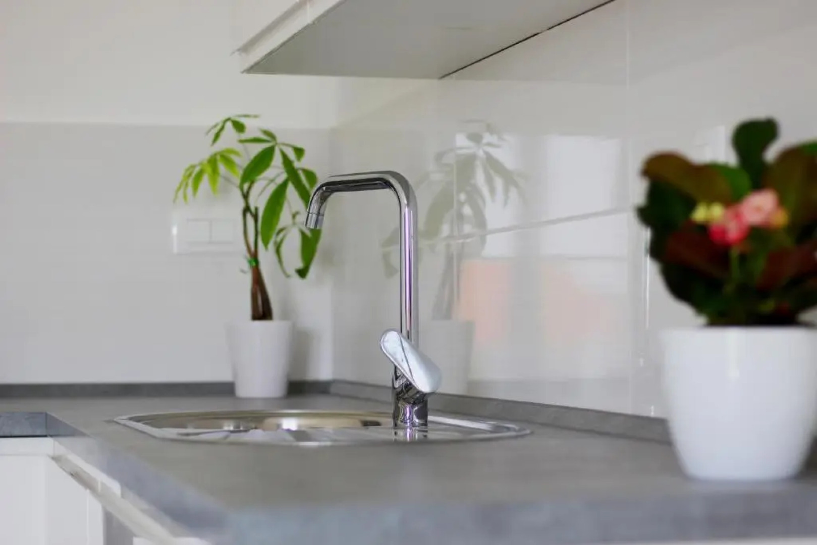 Apartment Udovičić