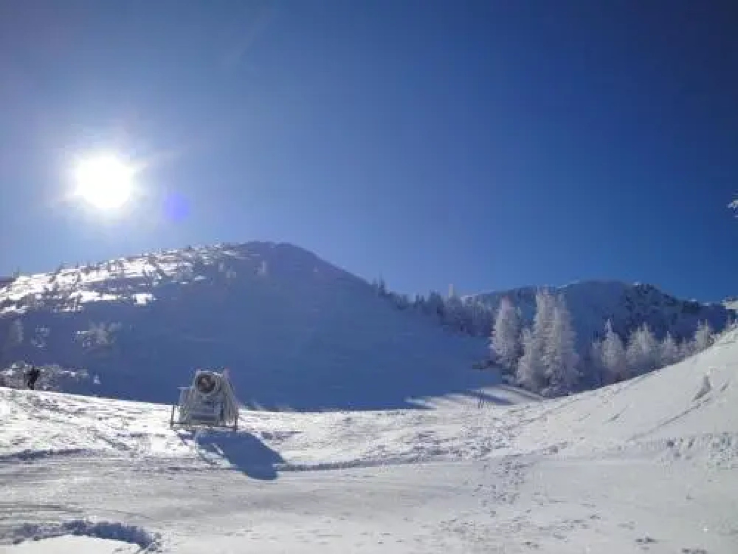 Jamnig Alexander GmbH