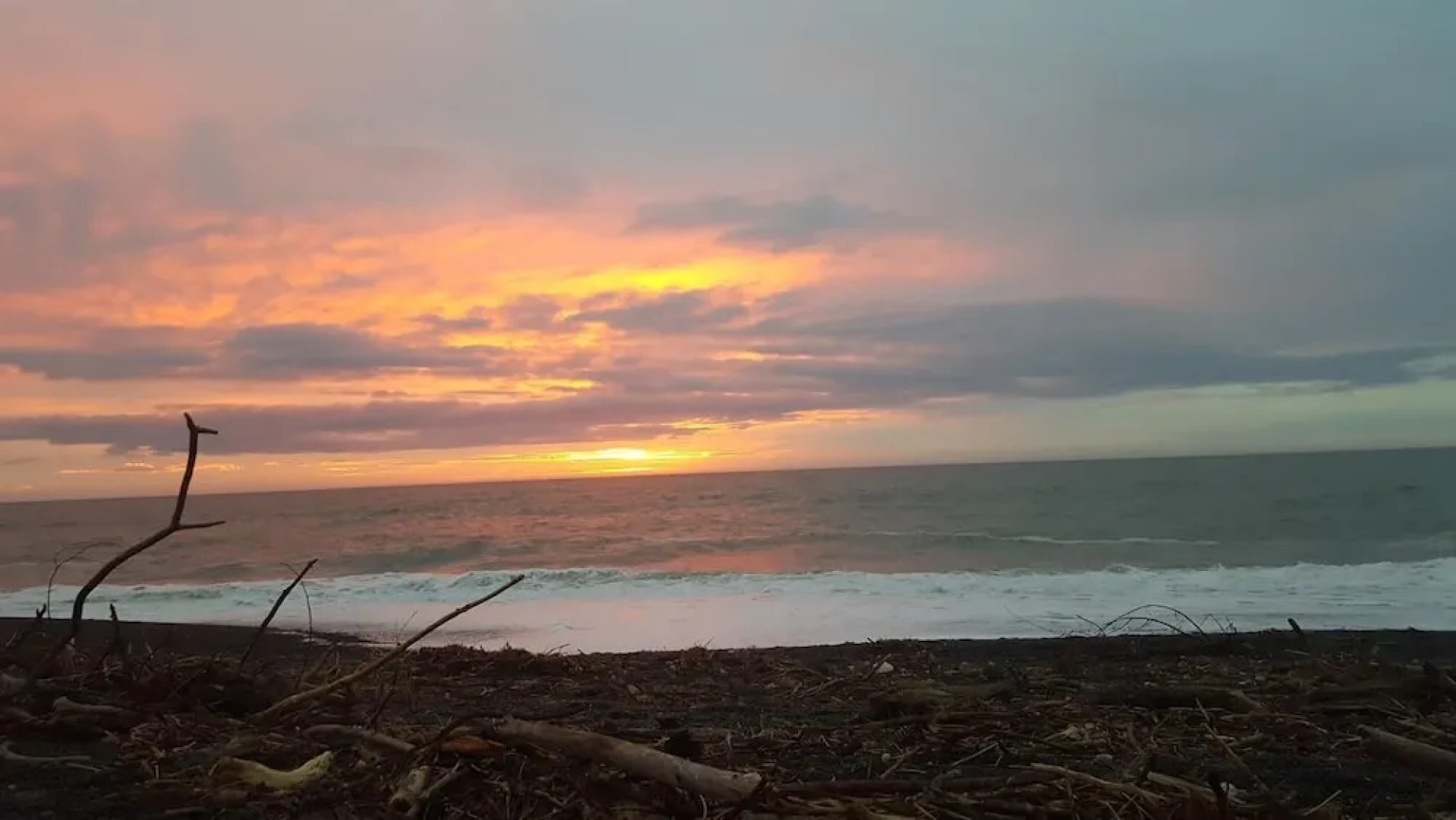 Napier Art House Backpackers